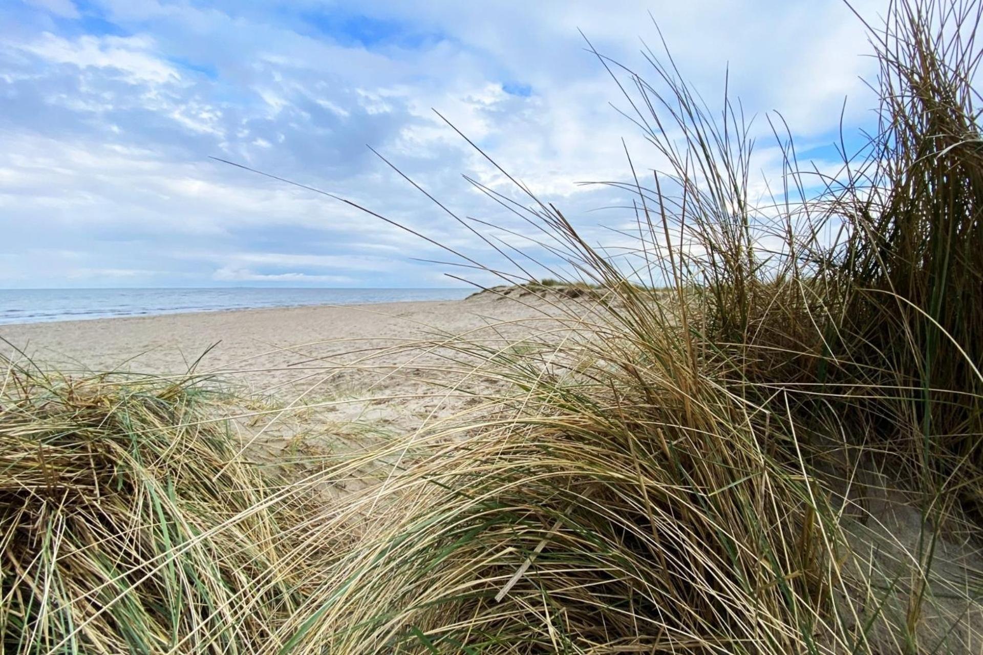 Ferien Im Wangerland - Haus Wiesenweg - Apartment 2 1Og ホールマージール エクステリア 写真